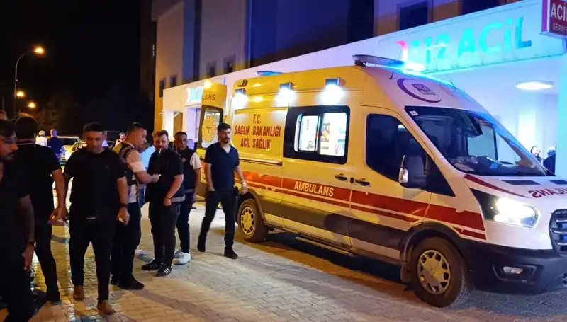 Kardeşini Koruma Çabası, Hayatını Kaybetmesine Neden Oldu