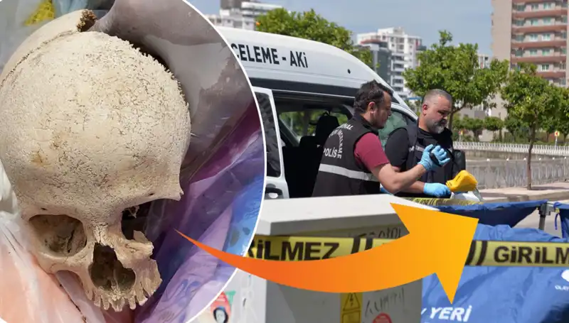 Sitenin Çöpünde Bulunan Kafatasının Sırrı Çözüldü: Uzman Doktor Gözaltında!