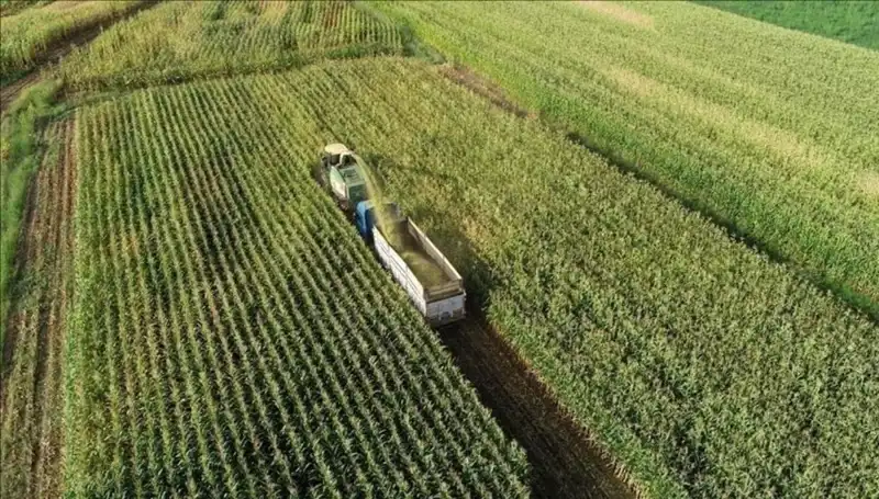 2025 Mart Ayı Mazot ve Gübre Destek Ödemelerinde Son Durum Nedir?