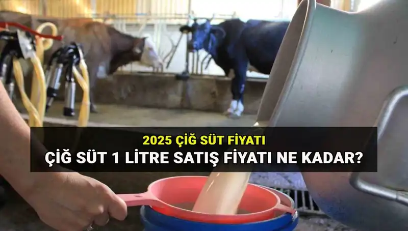 2025 Yılında Çiğ Süt Fiyatları: Ulusal Süt Konseyi Açıklama Yaptı