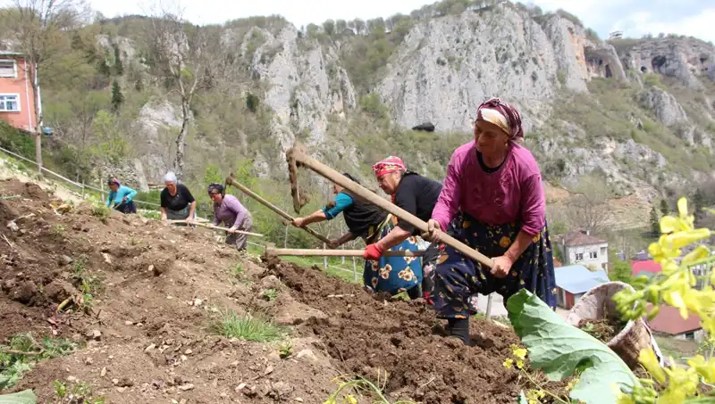 Zorlu Mesai Başladı: Sepetler ve Kazmalarla Yeni Bir Çalışma Dönemi