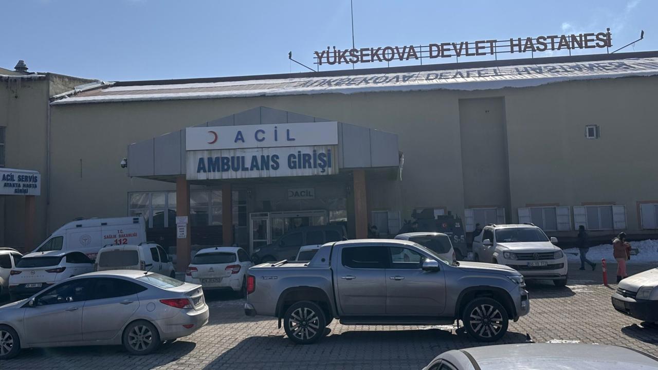Başıboş Köpeklerin Saldırısında Çocuk Hayatını Kaybetti