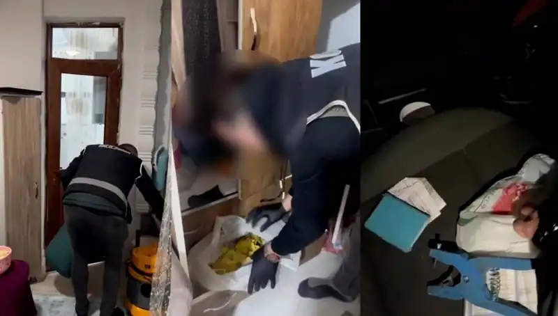 Hayvan Sevk Belgesi Usulsüzlüğü Operasyonu: Dokuz Kişi Gözaltında