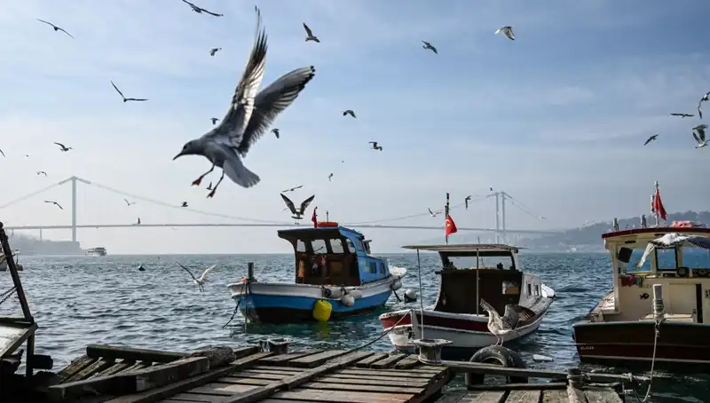 İstanbul’da Bahar Havası Başlıyor: Beklenen Tarih Açıklandı!