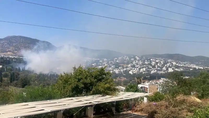 Muğla'da Kontrolden Çıkan Orman Yangınları Sonunda Kontrol Altına Alındı