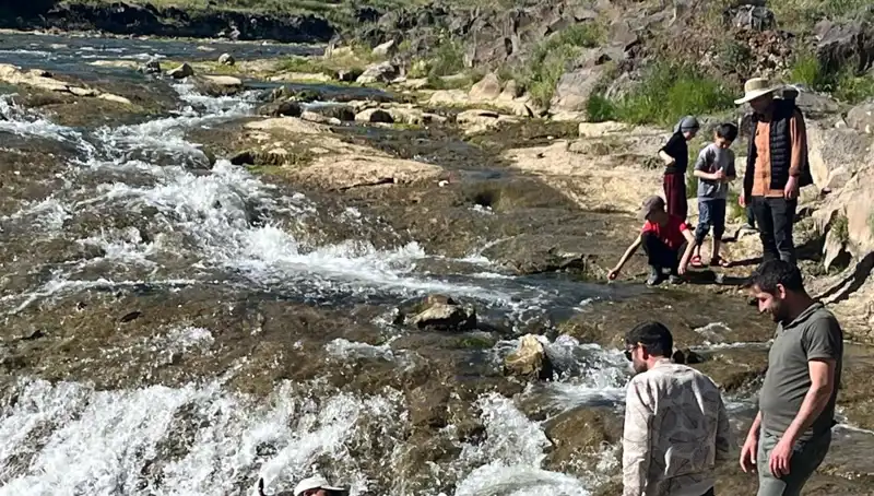 İnci Kefali Göçü: Doğanın Harikası Binlerce Turisti Çekiyor