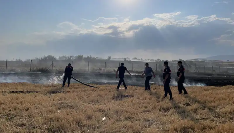 Merzifon'da Tarım Arazisi Yangınla Küle Döndü: Üreticiler Endişeli