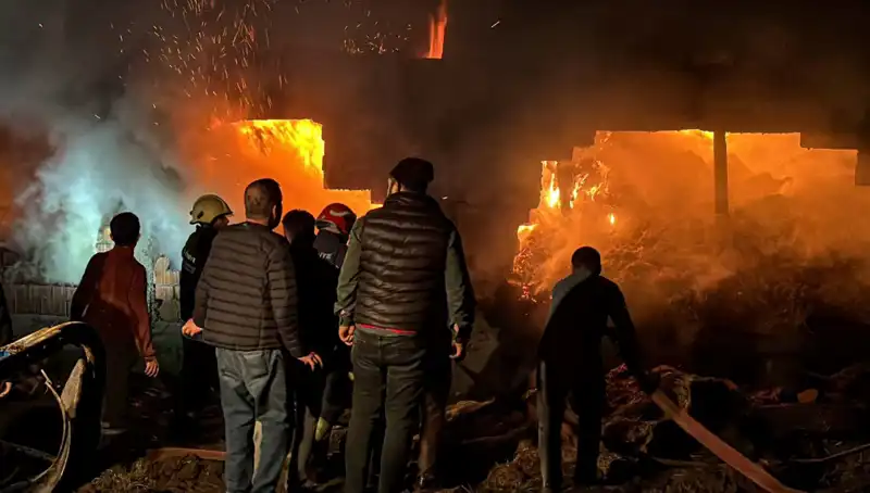 Bolu'da Büyük Yangın: Ahır Küller İçinde Kaldı, Hayvanlar Kurtarıldı mı?