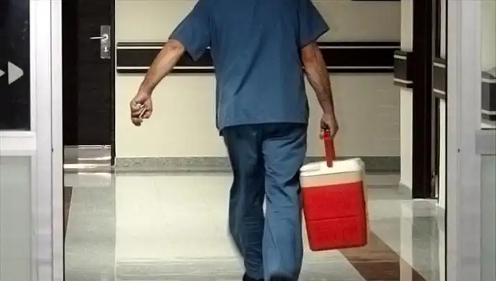 Organ Bağışında Devrim: e-Devlet ve e-Nabız ile Kolay ve Hızlı İşlem