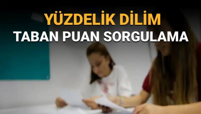 2025 LGS Taban Puanları ve Yüzdelik Dilim Sorgulama Hakkında Bilmeniz Gerekenler