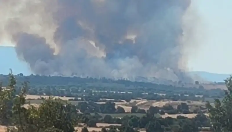 Edirne'yi Saran Yangın: Komşu Ormanda Büyüyen Tehdit