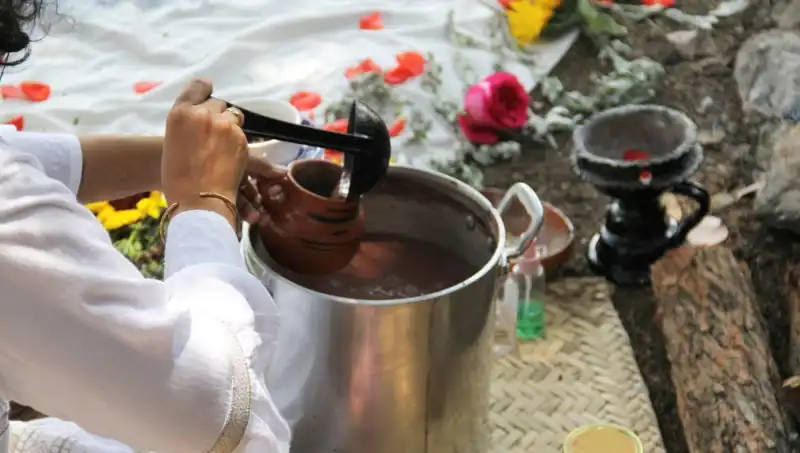 Ayahuasca: Gizemli Çayın Faydaları ve Yasal Durumu Nedir?