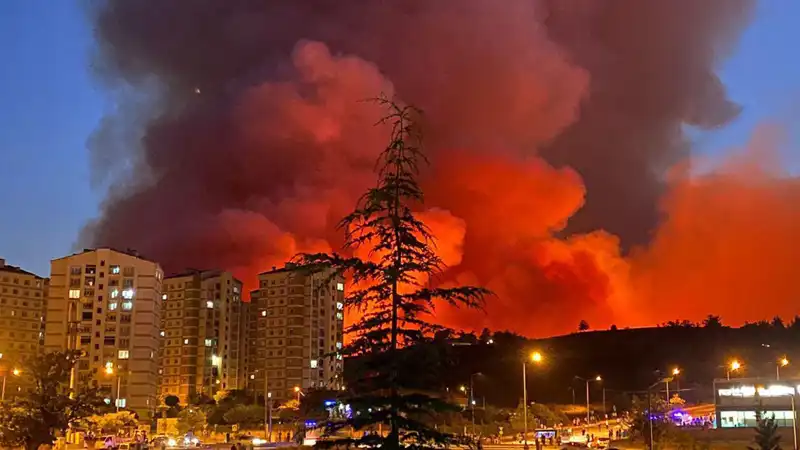 Bursa'da Yangın Alarmları Yükseliyor: Şehirde Neler Oluyor?