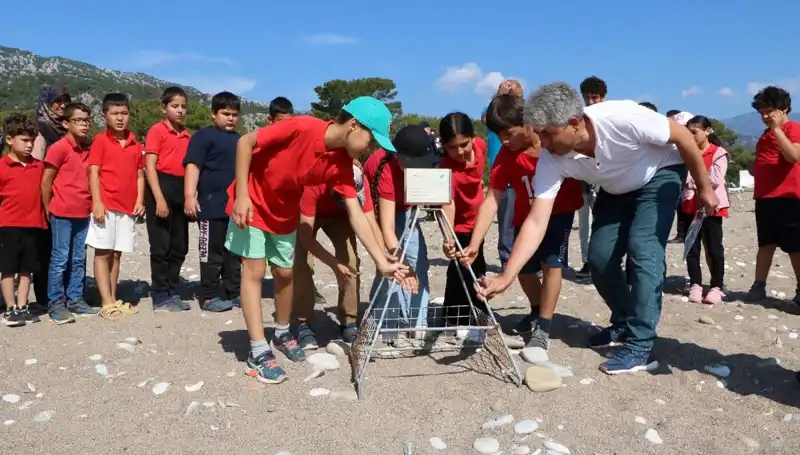 Kemer’de Caretta Caretta Yasakları Başladı: Plajlar ve Yüzme Alanları Kısıtlandı!