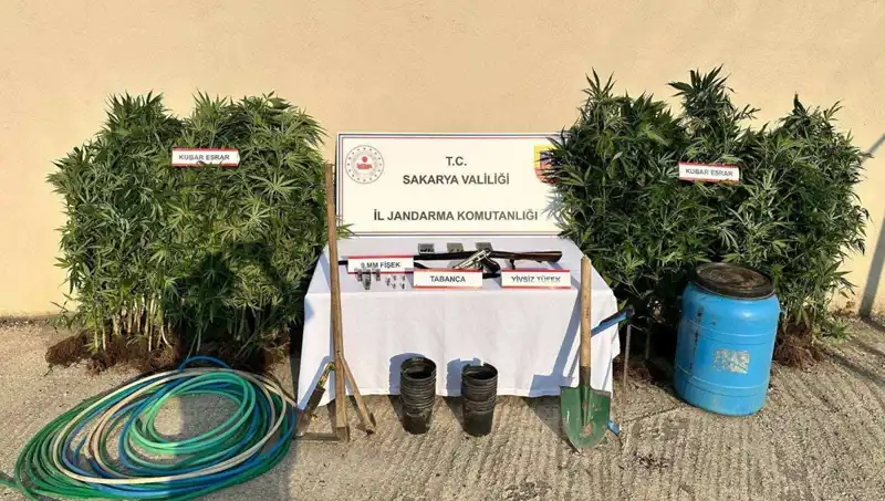 Sakarya'da Uyuşturucu Operasyonu: Güvenlik Güçleri Bir Kişiyi Tutukladı