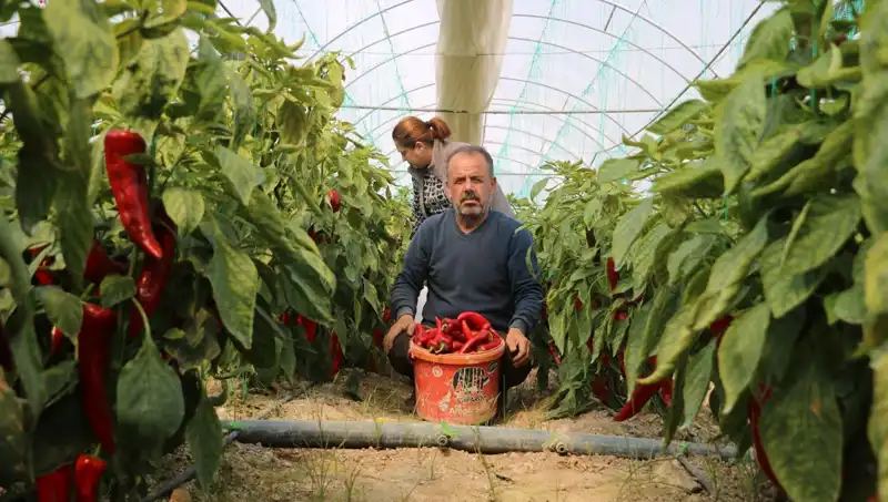 Fiyatlar Neden Uçtu? Zamlarla İlgili Her Şeyi Öğrenin!