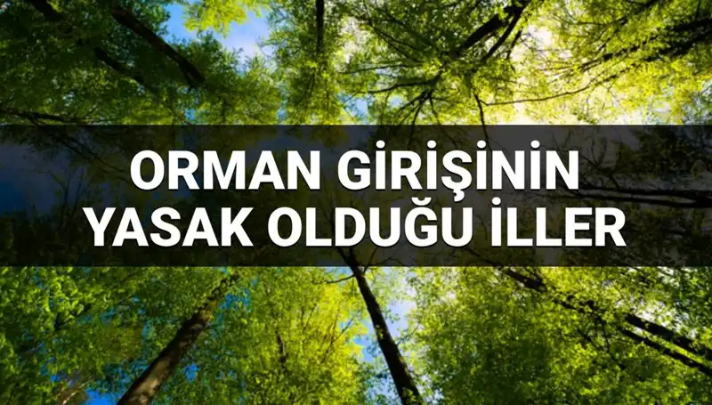 2025’te Ormana Girişi Yasaklanan İller: Hangi İllerde Bu Uygulama Geçerli?