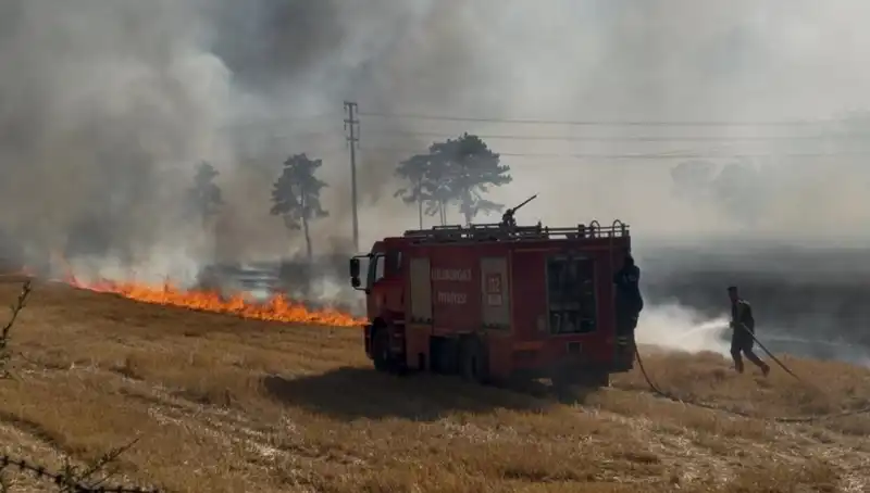 Kırklareli'nde Anız Yangını Paniği: Tarım Alanlarına Zarar Verdi
