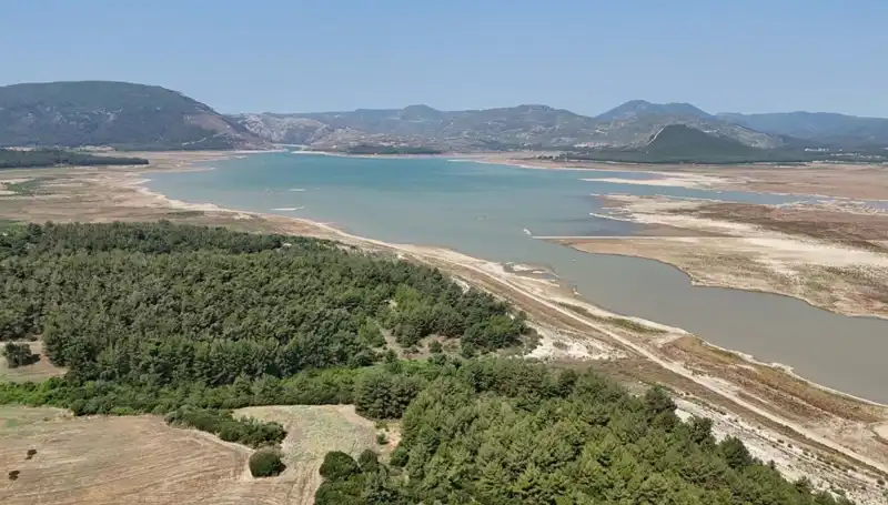 İzmir'de Korkutucu Düşüş: Geçen Yıla Göre Yüzde 50 Azalma Yaşandı