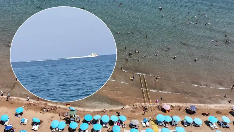 Plajda Köpek Balığı Korkusu! Sahil Boşaltıldı, Gerçekler Şaşırttı