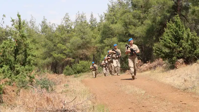 Kilis’te Orman Yangınlarına Karşı Önlem Çalışmaları Hızlanıyor