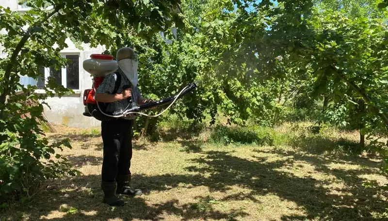 Kükürt ve Samuray Arısı: Çiftçilerin Umut Kayınağı Olabilir mi?