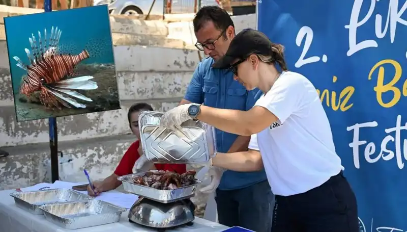Antalya'da Kıyasıya Rekabet: İstilacı Aslan Balığı Avlama Yarışması Başlıyor