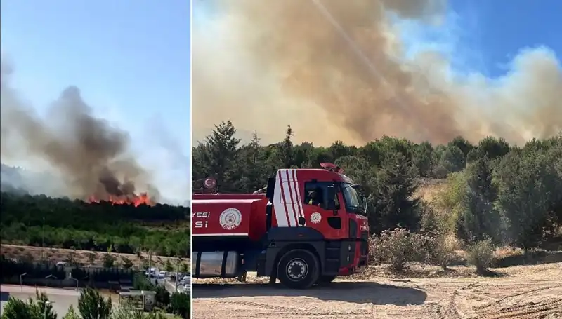 Gebze'de Şok Yangın: Doğa Kırmızıya Büründü, Ekipler Seferber Oldu