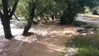 Mersin'de Sağanak Yağış Sel Felaketi Yarattı: Neler Oluyor?