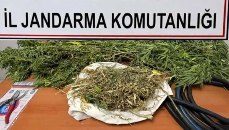 Niğde'de Uyuşturucu Operasyonu: Ele Geçirilen Maddeler ve Gözaltılar