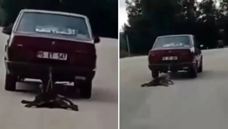 Bir Araç, Arkasında Bağlı Köpeği Sürüklerken Görüntülendi!