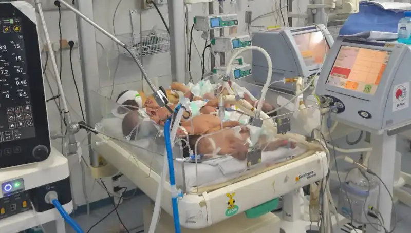 Gazzeli Doktorların Çağrısı: "Birden Fazla Bebek Aynı Kuvözde Hayata Tutunuyor"