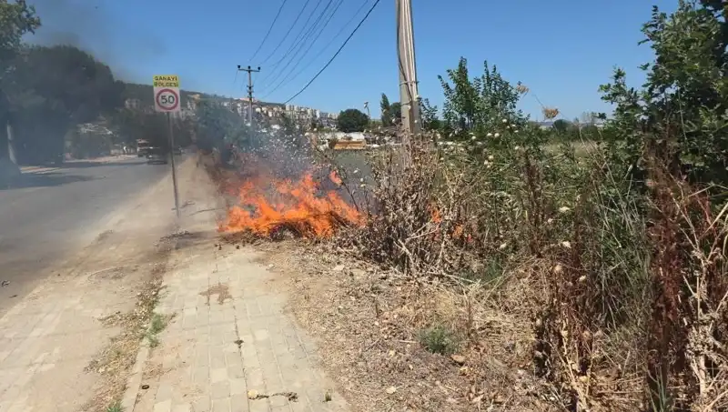 Bursa'daki Otluk Alanda Çıkan Yangın, Korku Dolu Anlar Yaşattı!