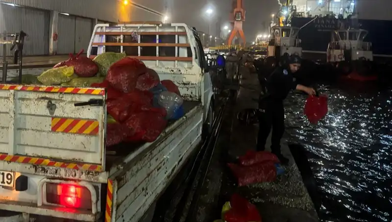 Yeraltı Dünyasında Kaçak Midye Ticareti: Çarpıcı Elde Edilen Veriler