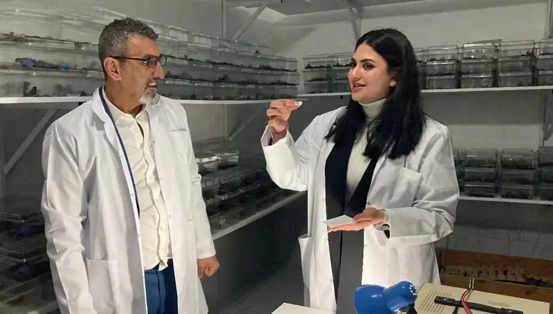 Akrep Zehri ile Şekerin Büyüleyici Buluşması: Faydaları ve Tehlikeleri
