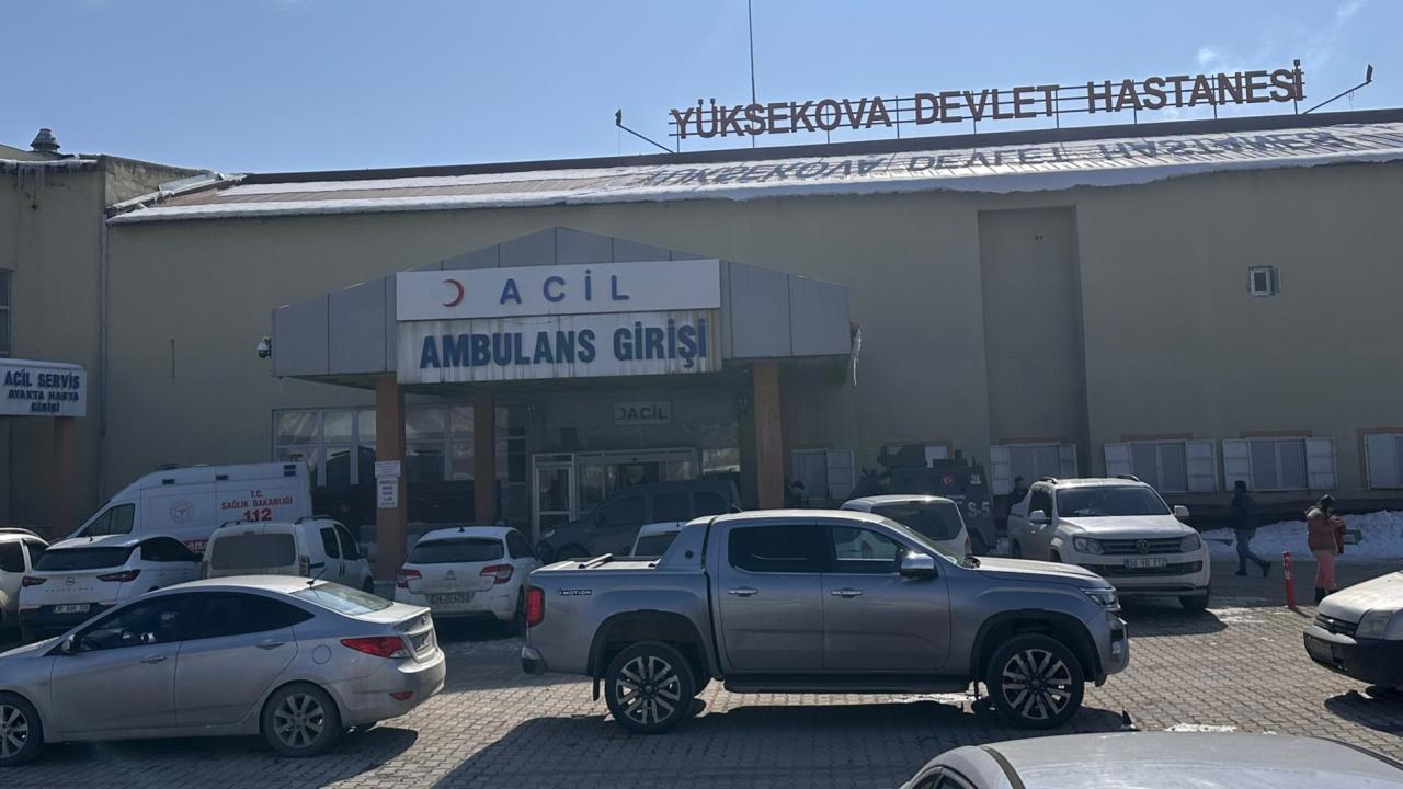 Müfettiş, Başıboş Köpeklerin Saldırısıyla Ölen Çocuk Olayını Araştırmak İçin Görevlendirildi