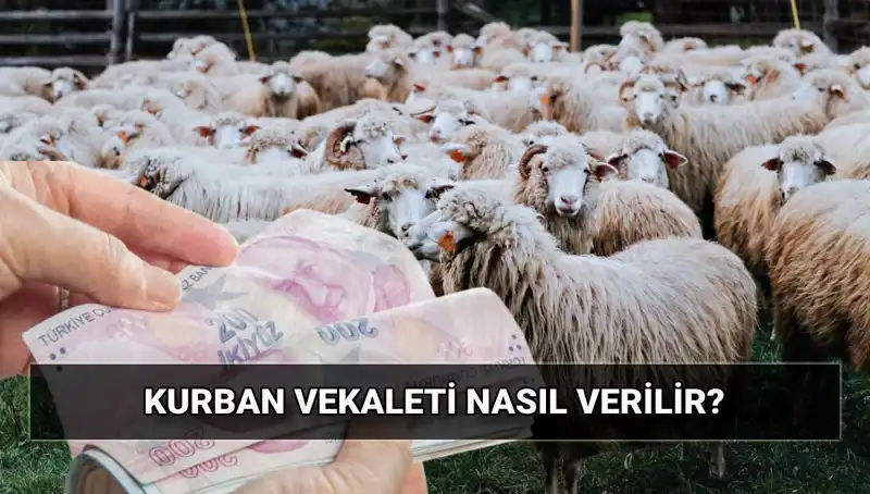 Vekaletle Kurban Kesimi: 2025 Diyanet Bedelleri ve Süreç