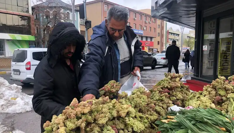 Yetişmesi Kolay: Kanserle Mücadelede Yeni Bir Umut Olabilir