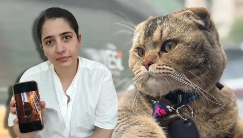 Evliliği Kurtaracak Tek Şey: Bir Kedi mi?