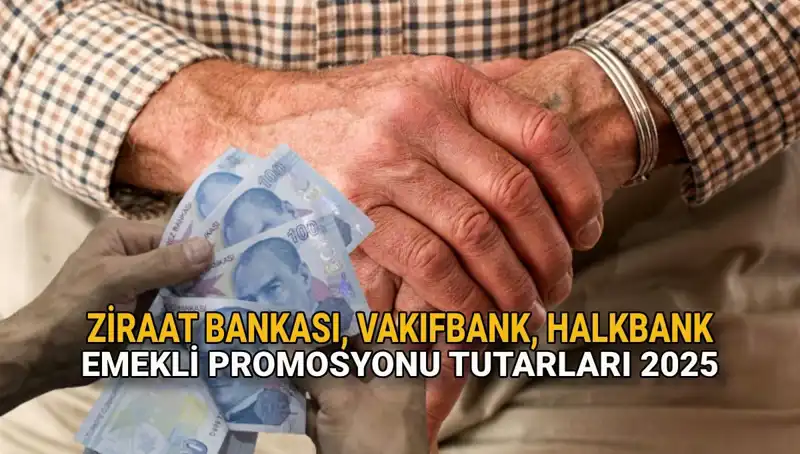 Emekli Banka Promosyonları 2025: Ziraat, Vakıfbank ve Halkbank Teklifleri