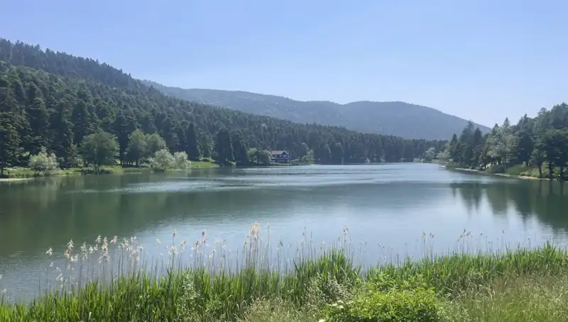 Bolu’nun Doğal Güzellikleri: Milli Parklar Yerli ve Yabancı Turistlerle Dolu