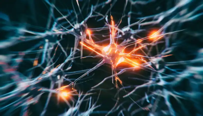 Alzheimer Vakaları Neden Hızla Arttı? Küresel Bir Sorunun Anatomisi