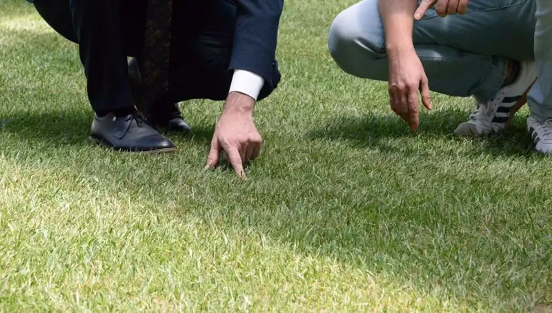 Stadyum Zeminindeki Sorunlar Ne Olacak? Son Durum Açıklandı!