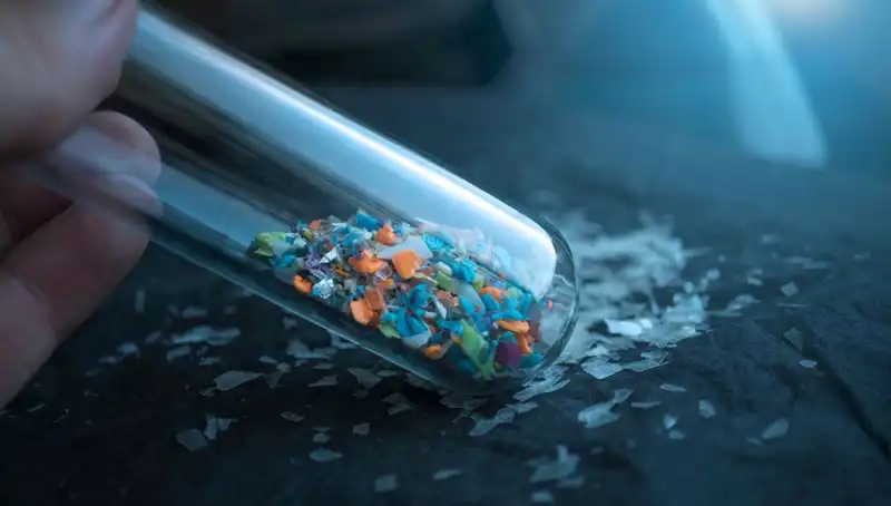 Mikroplastikler: İnsan Beynine Sızan Tehlikenin Etkileri ve Çözüm Yolları