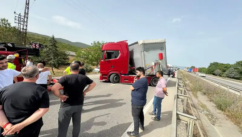 Seyir Halindeyken Arı Soktu: Trafikte Şok Anlar ve Kilitlenmeler