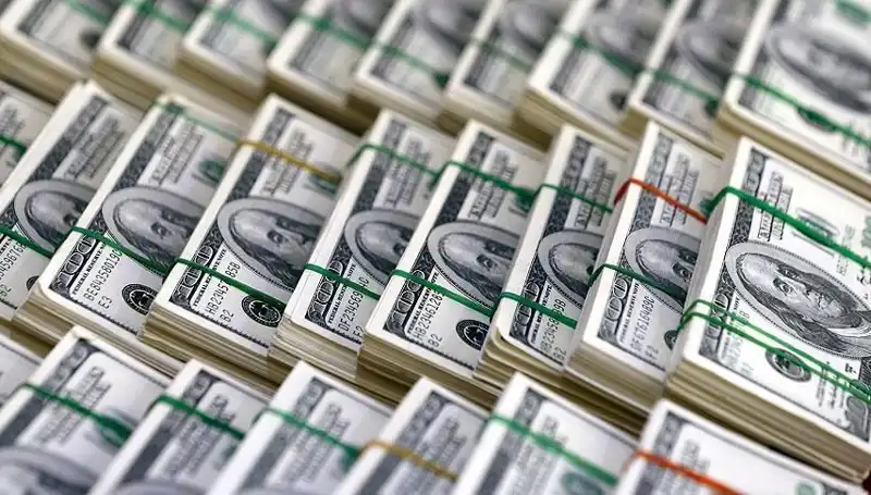 Doların Hızla Yükselişi: Ekonomistlerden Korkutan Uyarılar Geldi