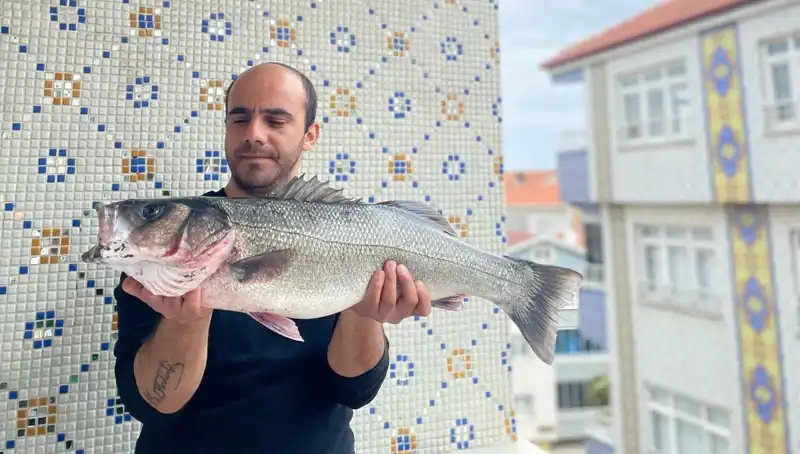 Denizdeki Dev: 7,5 Kiloluk Levrek Avı Heyecanı