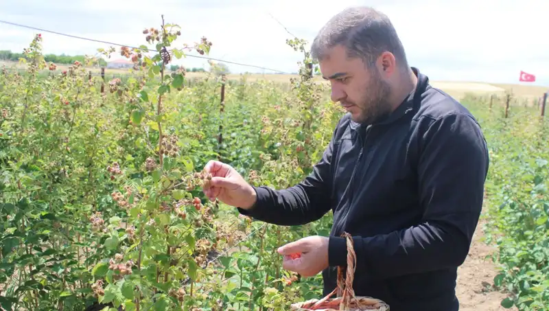 Hobi Olarak Başladı, Şimdi Talebe Yetişemiyor: İlginç Hikaye