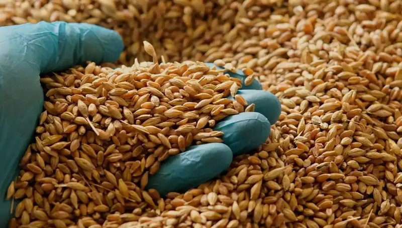 Kalp Hastalığı Riskini Azaltmanın Yolları: Beslenmeyle Yeni Stratejiler