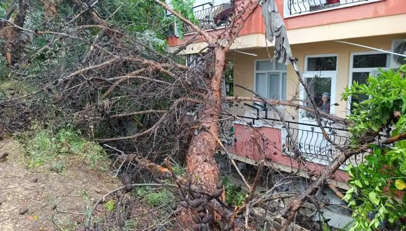 Yağışların Kurbanı! Bina Korkunç Bir Şekilde Devrildi